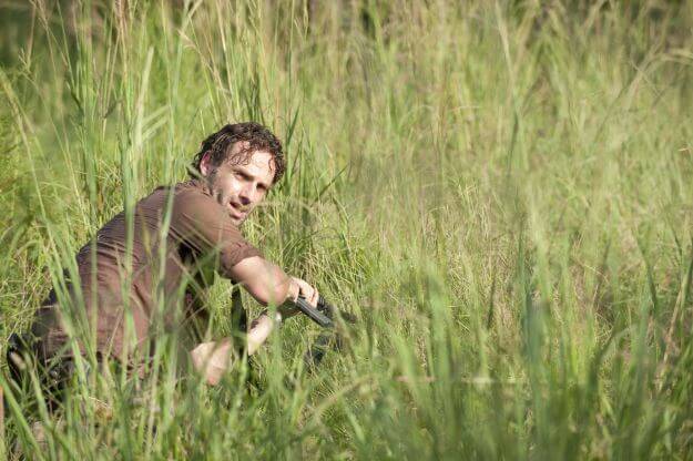 twd310_6-625