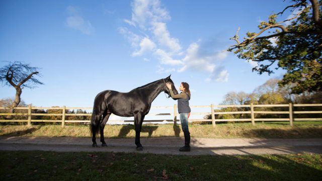 Free Rein. Foto: Netflix